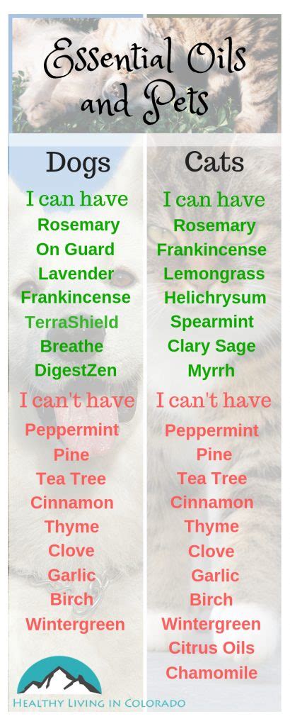 Essential oils and aromatherapy work on both the physical and the emotional plan. The Best Essential Oils That Are Safe for Dogs and Cats ...