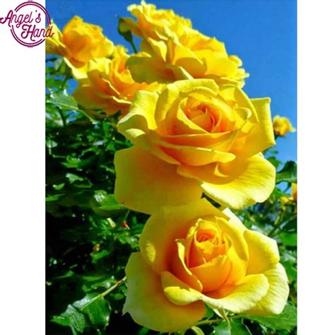 50 Gambar Bunga Mawar Kuning Yang Lagi Ngetrend Informasi Seputar