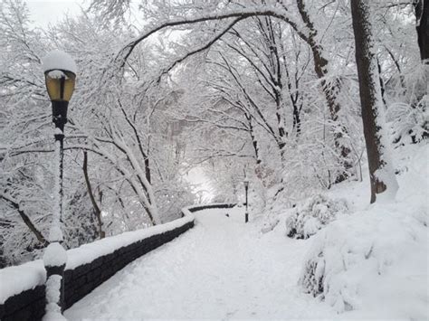 At Fort Tryon Park Washington Heights Nyc Snow