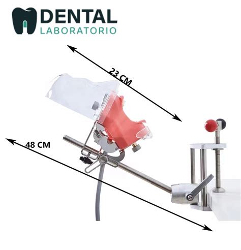 Tooth Preparation Model View Cost Unique Dental Collections