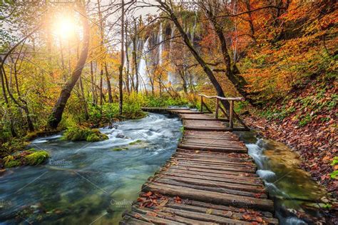 Colorful Autumn Forest In Croatia Plitvice Lakes National Park