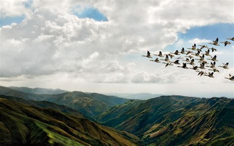 Birds Flying Over Iberian Mountain Range