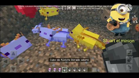 Ajolotes Azules En Minecraft Leer Descripción Youtube