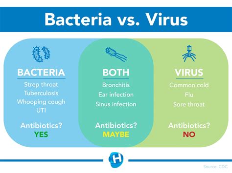When Do I Need An Antibiotic Bacterial Vs Viral Infections