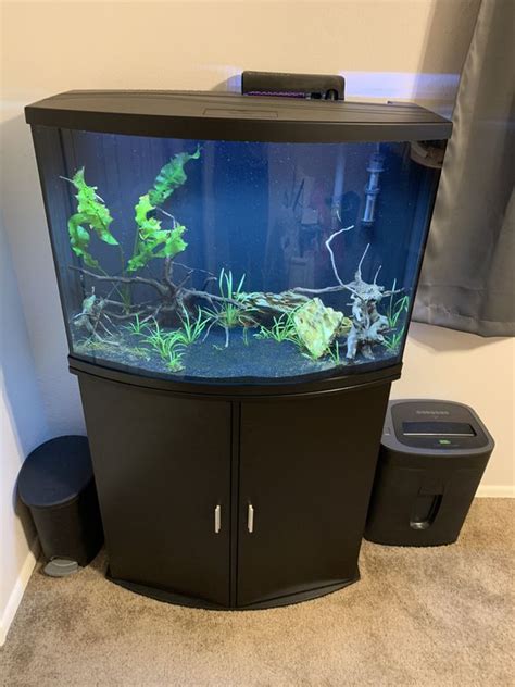 36 Gallon Bow Front Fish Tank Setup For Sale In Glendale Az Offerup