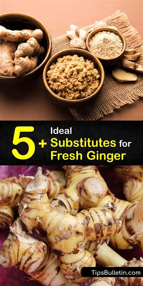 5 ideal substitutes for fresh ginger fresh ginger cooking and baking recipes