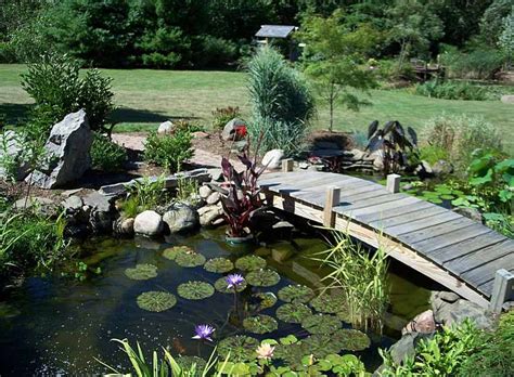 Small Backyard Fish Pond Ideas Pool Design Ideas