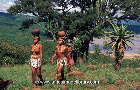 Photos And Pictures Of Zulu Maidens Fetching Water From The River