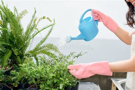 Young Woman Watering Plants On Her City Balcony Garden Stock Image