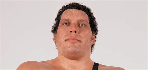 How Tall Was Andre The Giant Did He Drink 100 Beers In A Single