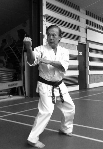 Master Oscar Higa Karate Do Kyudokan Seminar Saint Sauveur France