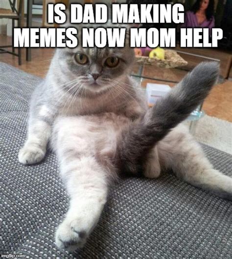 sexy cat meme imgflip