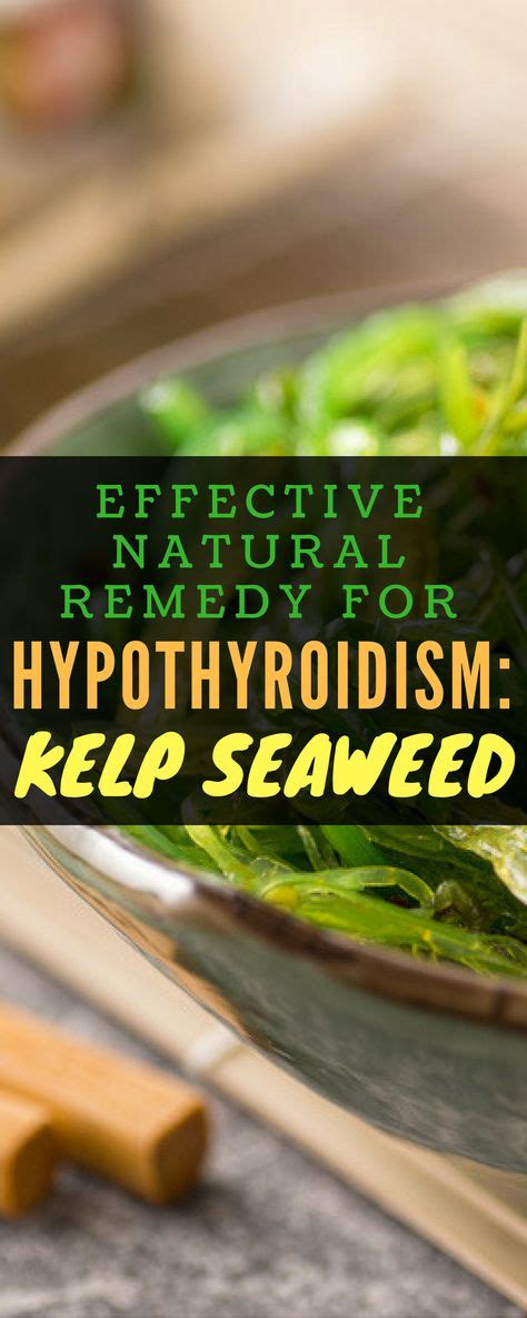 Effective Natural Remedy For Hypothyroidism Kelp Seaweed