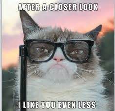The internet loves cats whether they're grumpy, happy, sad, or just moments from creating mischief. CLEAN GRUMPY CAT MEMES image memes at relatably.com