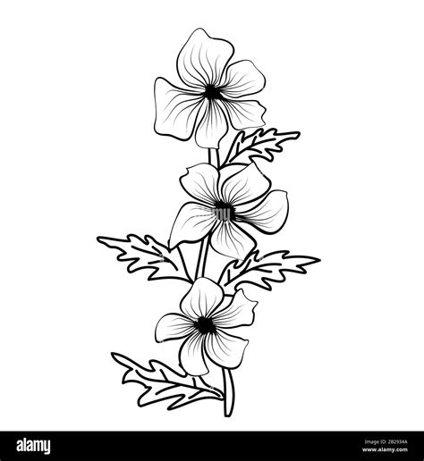 Black And White Flower Outline