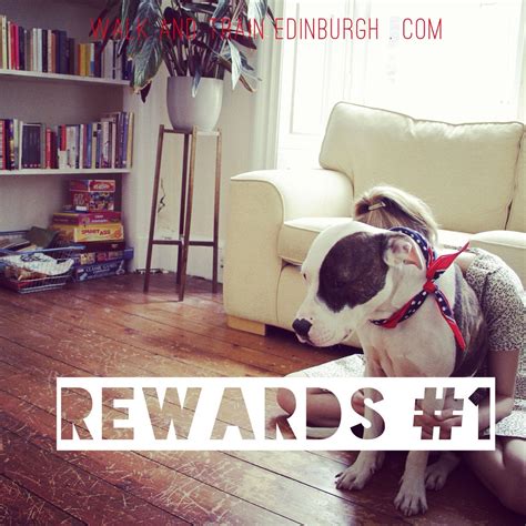 Rewards 1 — Walk And Train Edinburgh Dog Training And Behaviour
