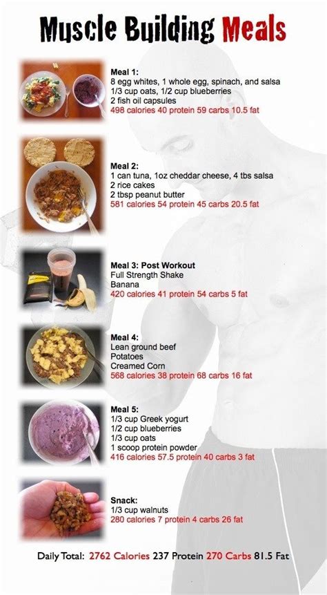 Daily Meal Plan To Lose Fat And Gain Muscle Dietais