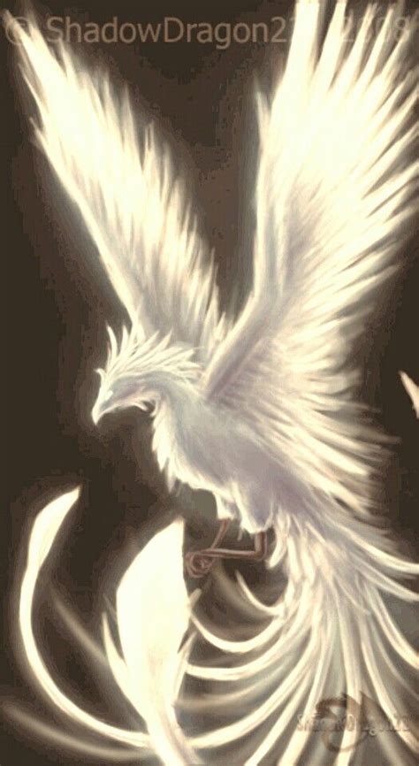 White Phoenix Fantasy Creatures Art Mythical Creatures Art