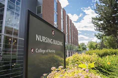 Research Funding Up 37 Percent At Wsu College Of Nursing Washington