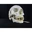 141 Pathological Human Skull