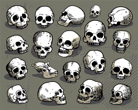 Vector Set Of Skulls Stock Vector Illustration Of Death 26579862
