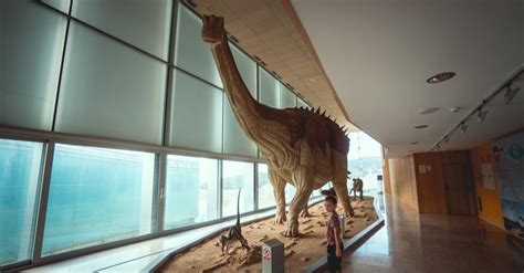 Top 10 Worlds Largest Dinosaurs Ever Az Animals