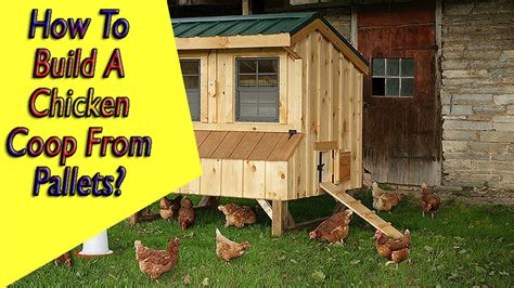 Inside the coop, nesting box takes an important place. cheapmieledishwashers: 20 Inspirational Pallet Chicken Coop Diy