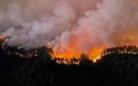 Wildfires Burn Over 3200 Hectares Of Land In France Reportaz