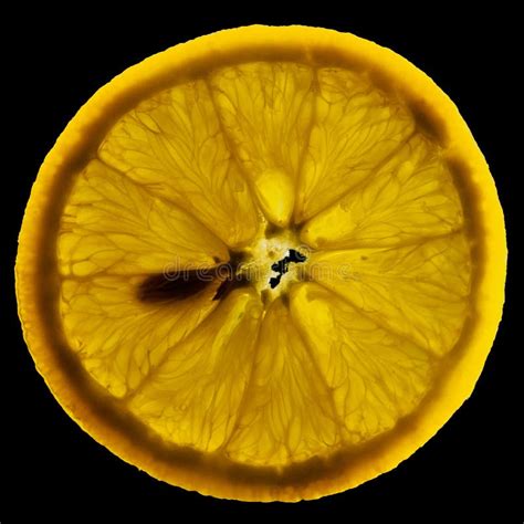 Extreme Closeup Of A Fresh Orange Stock Image Image Of Rentgen