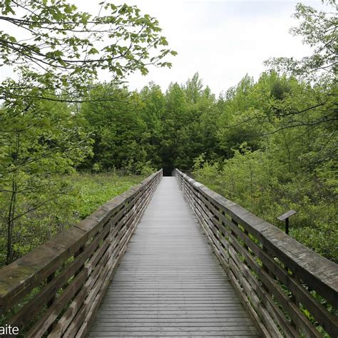 Great Swamp National Wildlife Refuge New Jersey All You Need To Know Before You Go