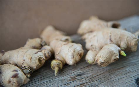 How To Grow Ginger In Your Home Garden
