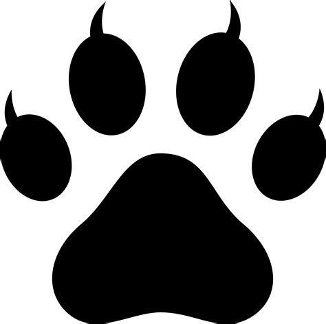 Collection Of Cat Paws Png Hd Pluspng