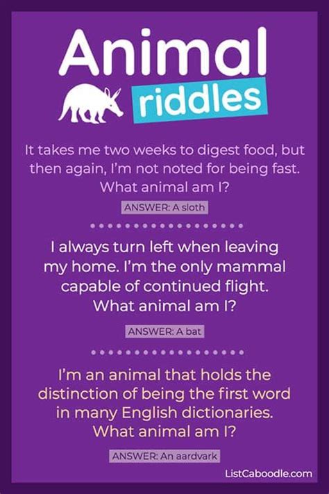 27 Animal Riddles For Kids That Are Great For Car Rides And Classrooms