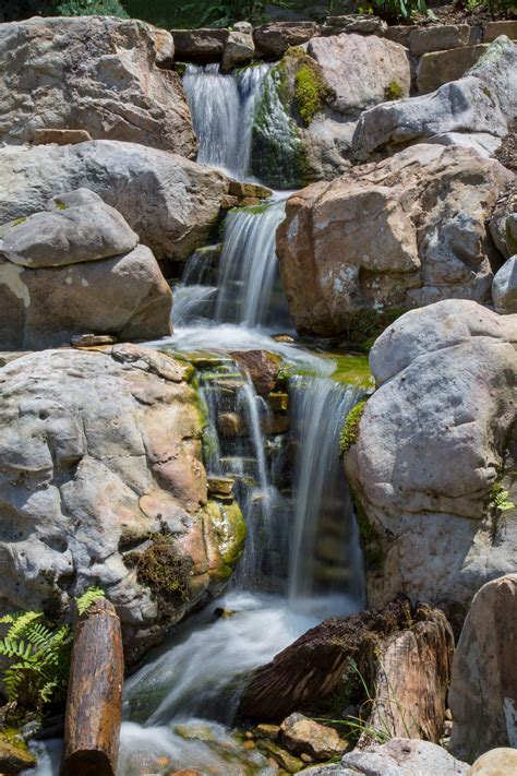 We did not find results for: Modern Design Aquascaping did a tear-out & re-installation ...
