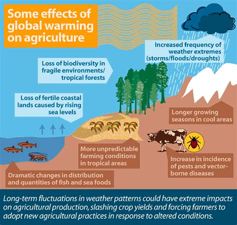 Climate Change Impacts On Agriculture Agrivi