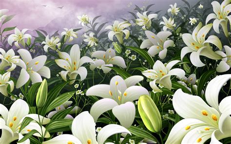 Flowers Wallpapers White Lilies Flowers Wallpapers