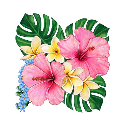Hibiscus Pattern Pngs For Free Download