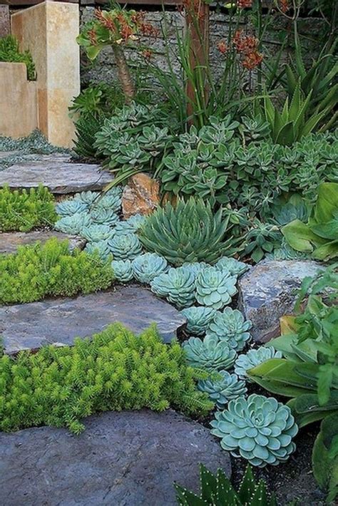 Impressive Front Succulent Garden Ideas With Images