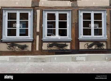 Göttingen Deutschland 11 Juni 2015 Die Renovierte Fachwerk Fassade