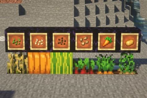 How To Plant Seeds And Grow Crops In Minecraft 2022 Guide Beebom