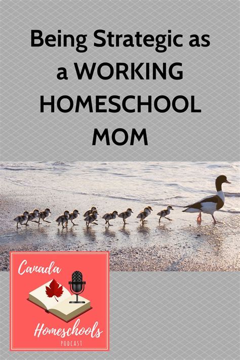 Pin By Rowan Atkinson On Home Schooling In 2021 Homeschool Mom