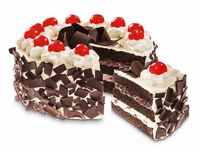 Cakes Cake Pakistan Forest Pk Custom Desire