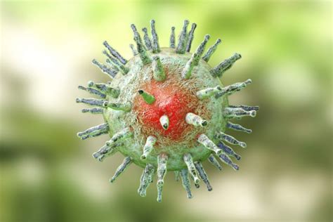 5 natural ways to boost your immune system. Epstein Barr Virus: Types, Symptoms, Treatment, Home ...