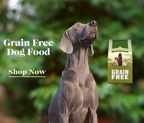 Determining how much food you should feed your dog isn't always straightforward. How Much Should I Feed My Dog? | Dog Feeding Guide | James ...