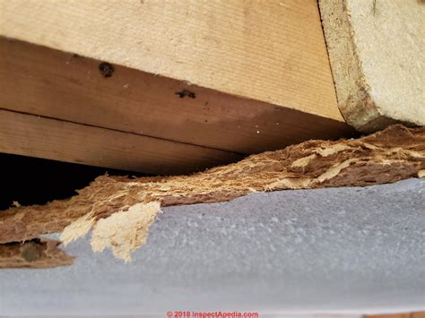 If these labels exist, they will be on the top of the ceiling tiles. Asbestos-Ceiling Tile Q&A#5 Asbestos-containing ceiling ...