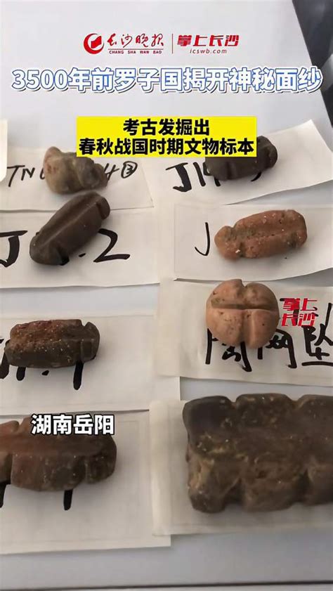 1月9日，3500年前的罗子国城遗址揭开神秘面纱，考古发掘出春秋战国时期文物标本文化考古好看视频