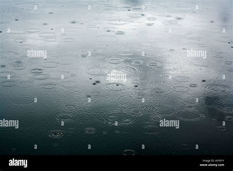 Rain Drops Falling On A Lake Stock Photo Alamy