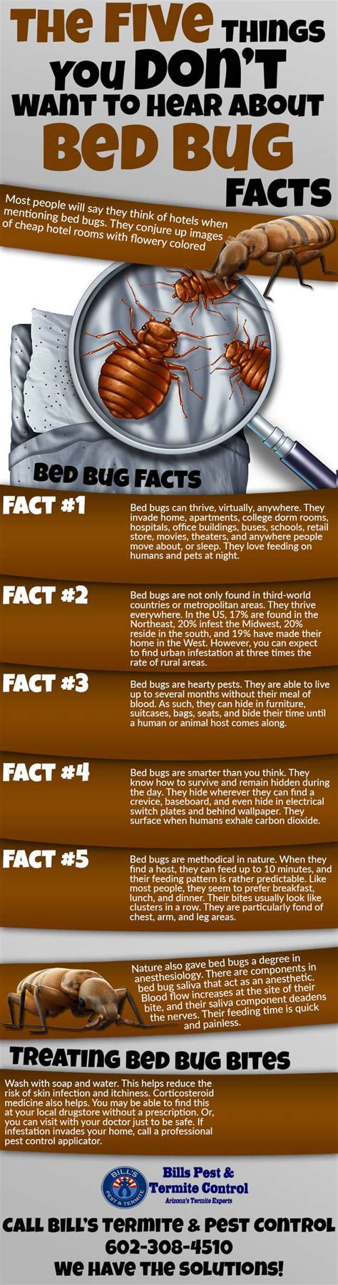 Infographic The 5 Things You Dont Want To Hear About Bed Bugs Bed