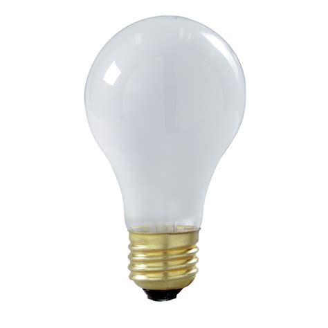 100 Watt A19 Incandescent Light Bulb Capitol Lighting
