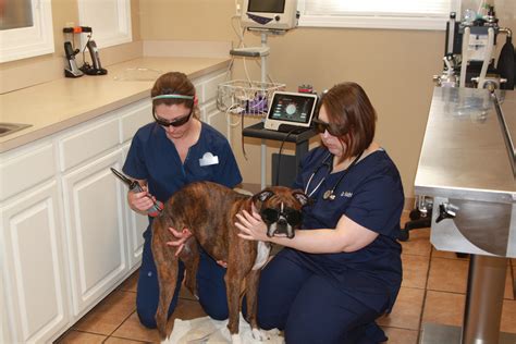 Lyndon animal clinic provides comprehensive veterinary care to pets in the central eastern usa. Flanary Veterinary Clinic Coupons near me in Paducah, KY ...